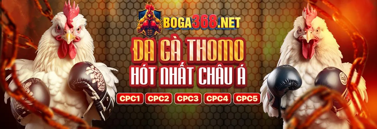 Hình ảnh tổng hợp các trò chơi đa dạng tại lb555 game